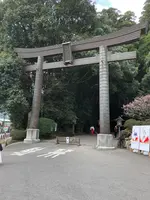 高千穂神社 神楽殿の写真・動画_image_744737
