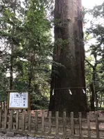 高千穂神社 神楽殿の写真・動画_image_744738