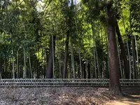 偕楽園の写真・動画_image_745021