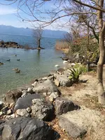 シャーレ水ヶ浜の写真・動画_image_746318