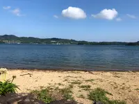 四本堂公園の写真・動画_image_747043