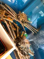 地魚海鮮 地産食堂ひさみの写真・動画_image_747862
