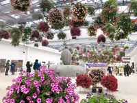 HANA・BIYORI(ハナビヨリ)の写真・動画_image_748494