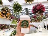 スターバックス よみうりランドHANA・BIYORI店の写真・動画_image_748503