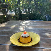 家と庭の写真・動画_image_748876