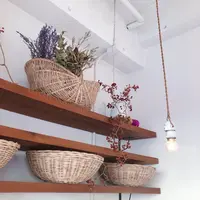gentilleの写真・動画_image_748993