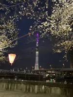 Suke6 Dinerの写真・動画_image_750176