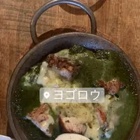 ヨゴロウ （YOGORO） の写真・動画_image_750509