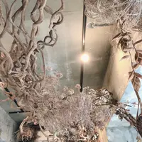 アマムダコタン（amam dacotan）の写真・動画_image_750580