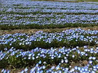 青ノ洞門の写真・動画_image_752846