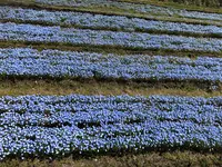 青ノ洞門の写真・動画_image_752847