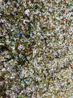ガラスの砂浜の写真・動画_image_752851