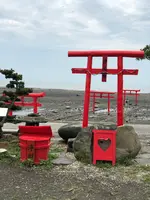 海中鳥居の写真・動画_image_752856