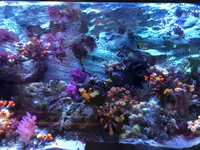 九十九島水族館海きららの写真・動画_image_752911