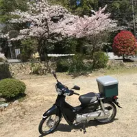 神呪寺（甲山大師）の写真・動画_image_753001