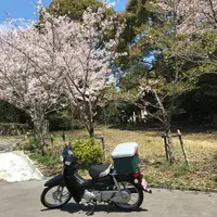 神呪寺（甲山大師）の写真・動画_image_753002
