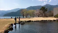 ほうとう研究所の写真・動画_image_758183