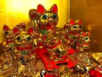 NINJA Cafe&Bar Hidatakayama (忍者カフェ高山)の写真・動画_image_759180