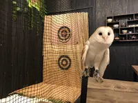 NINJA Cafe&Bar Hidatakayama (忍者カフェ高山)の写真・動画_image_759202