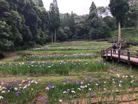 西の久保公園の写真・動画_image_764919