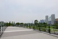 豊洲パークブリッジの写真・動画_image_767528