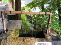 天狗の滝の写真・動画_image_769838