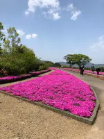 空の公園の写真・動画_image_769843
