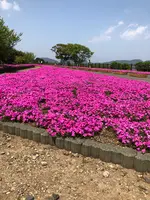 空の公園の写真・動画_image_769844