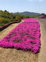 空の公園の写真・動画_image_769846
