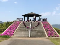 空の公園の写真・動画_image_769847