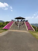 空の公園の写真・動画_image_769848