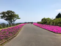 空の公園の写真・動画_image_769849