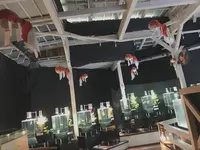 御殿場高原時之栖の写真・動画_image_773600