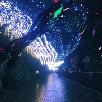 御殿場高原時之栖の写真・動画_image_773603