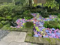 長谷寺山門の写真・動画_image_773927