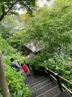 長谷寺山門の写真・動画_image_773929