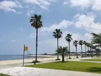 ストリートパークの写真・動画_image_774278