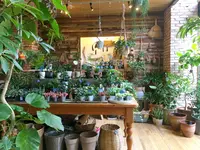 SORAYA 門前仲町の写真・動画_image_775496