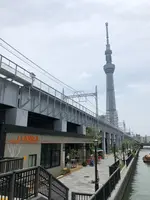 東京ミズマチの写真・動画_image_775853