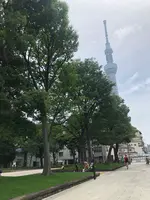 東京ミズマチの写真・動画_image_775854