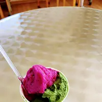 ミルミル本舗の写真・動画_image_776463