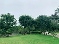 隅田公園の写真・動画_image_776767