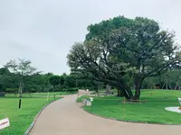 隅田公園の写真・動画_image_776769