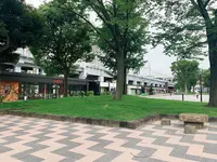 隅田公園の写真・動画_image_776773