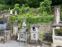 会津さざえ堂（円通三匝堂）の写真・動画_image_777172