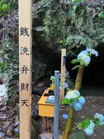 あじさい坂の写真・動画_image_777188
