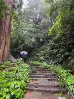 あじさい坂の写真・動画_image_777189