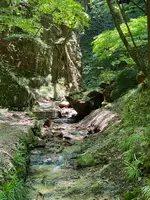 矢祭山駅の写真・動画_image_777206