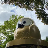 鷲子山上神社本殿の写真・動画_image_777210