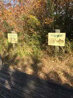 益子県立自然公園 益子の森の写真・動画_image_777241